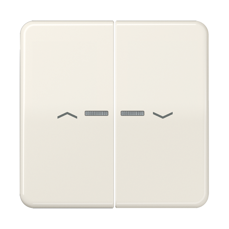 Изображение CD595KO5P  Клавиши для сдвоенной кнопки BCU; белые - завод JUNG