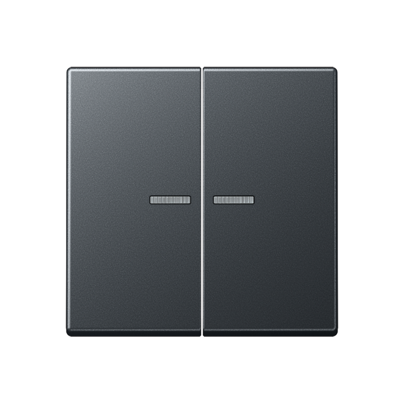 Изображение BTA17102BFANM  JUNG HOME кнопка, 2 группы - завод JUNG