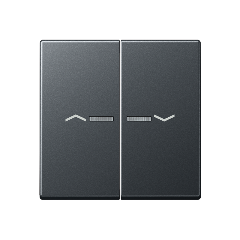 Изображение A595BFKO5PANM  Клавиша для выключателя с подсветкой - завод JUNG