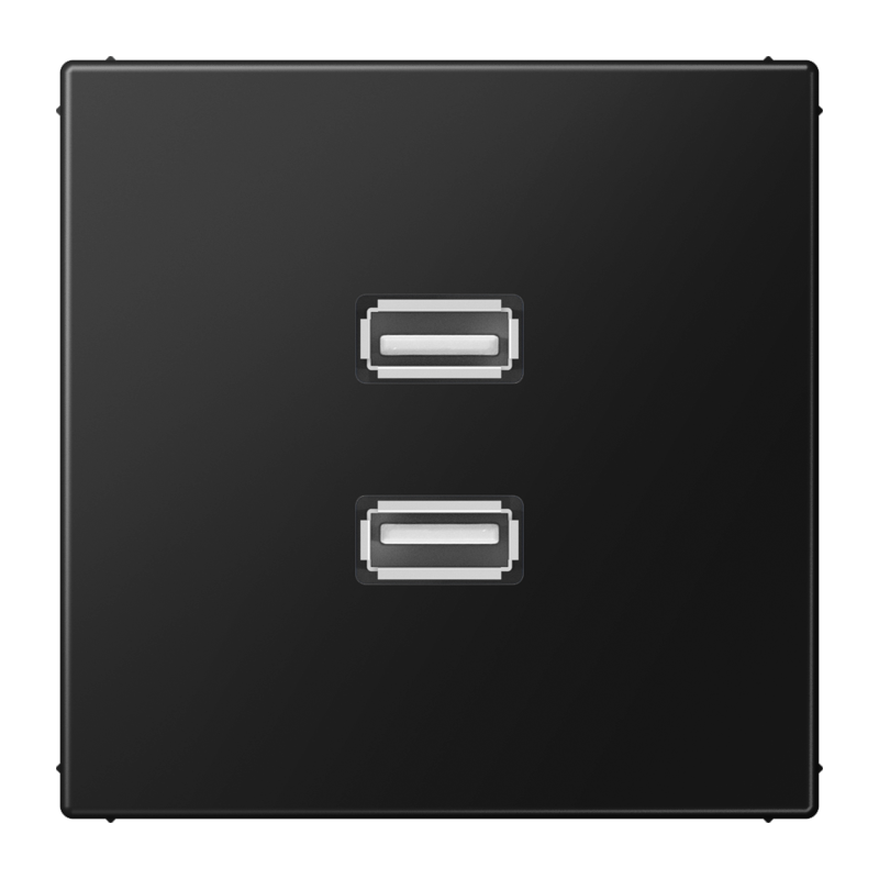 Изображение MALS1153SWM  2 x USB 2.0 - завод JUNG