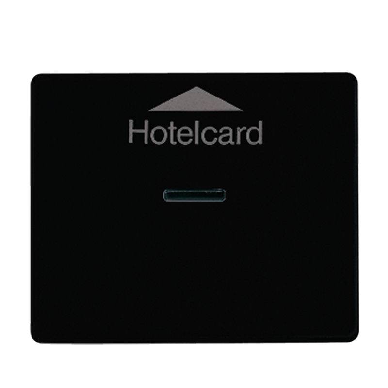 Изображение SL590CARDSW  Накладка карточного выключателя (без механизма) - завод JUNG