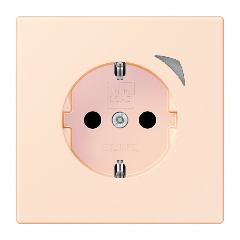 Изображение BTLC1521SE226  JUNG HOME SCHUKO® розетка Energy - завод JUNG