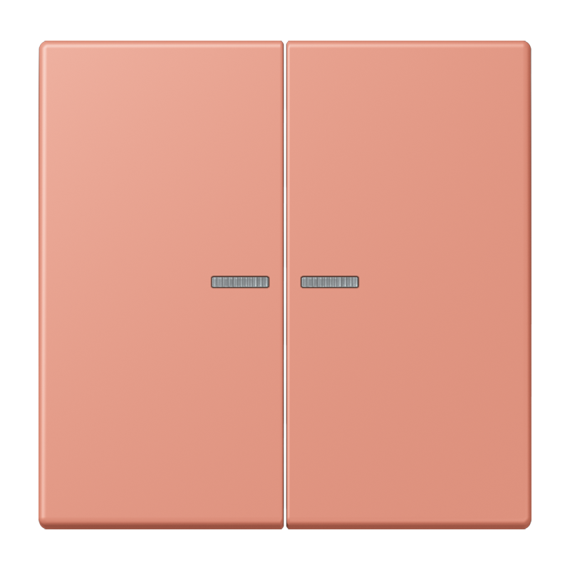 Изображение LC102KO5233  Клавиша с окошком - завод JUNG