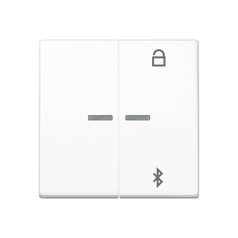 Изображение AS1751BTWW  Таймер универсальный Bluetooth - завод JUNG
