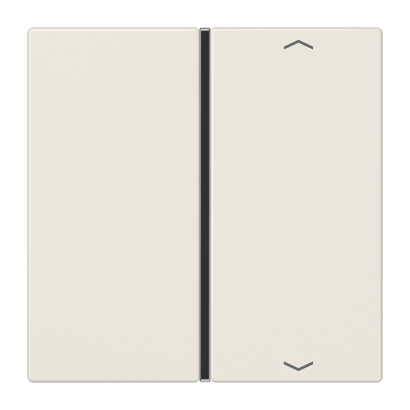 Изображение LS401TSAP  Накладка, 1-ная с символами «стрелки» - завод JUNG