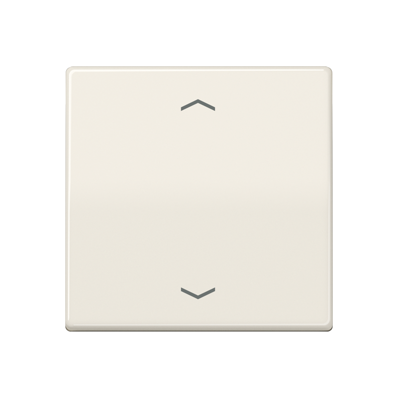 Изображение AS1700P  Центральная плата стандарт «стрелки» - завод JUNG