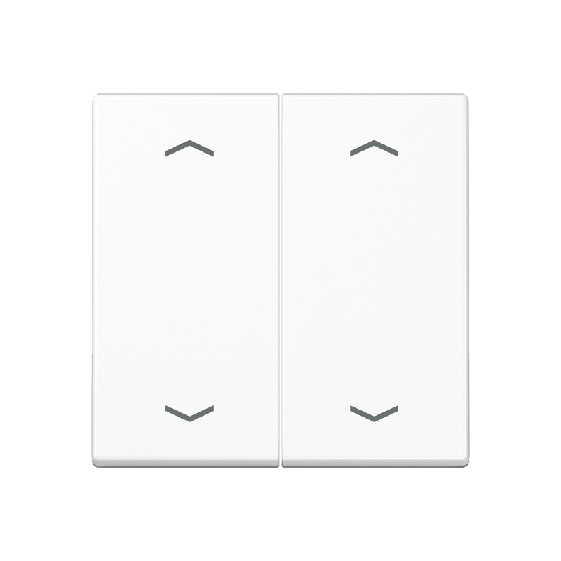 Изображение A595MPWW  Клавиши для сдвоенной кнопки BCU - завод JUNG