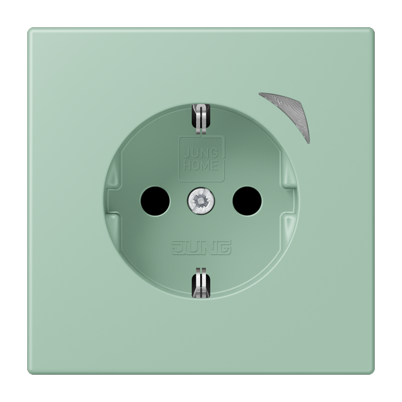 Изображение BTLC1521SE217  JUNG HOME SCHUKO® розетка Energy - завод JUNG