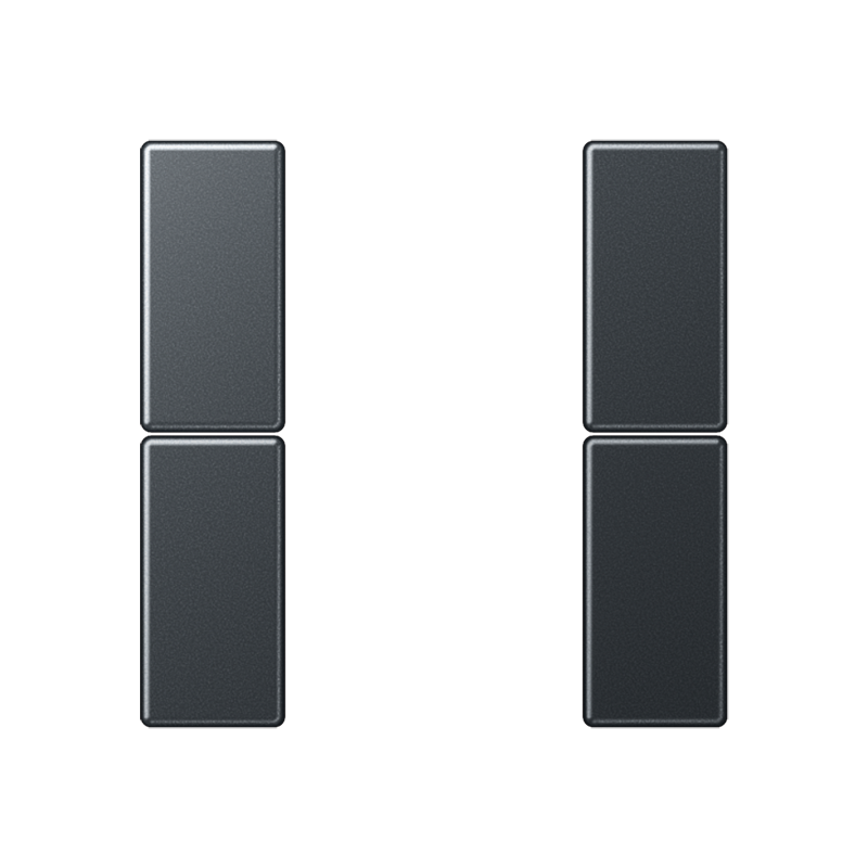 Изображение A502TSAANM  Набор накладок 2 группы - завод JUNG