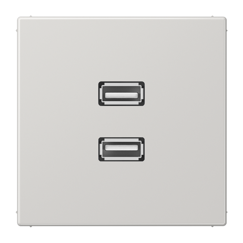 Изображение MALS1153LG  2 x USB 2.0 - завод JUNG