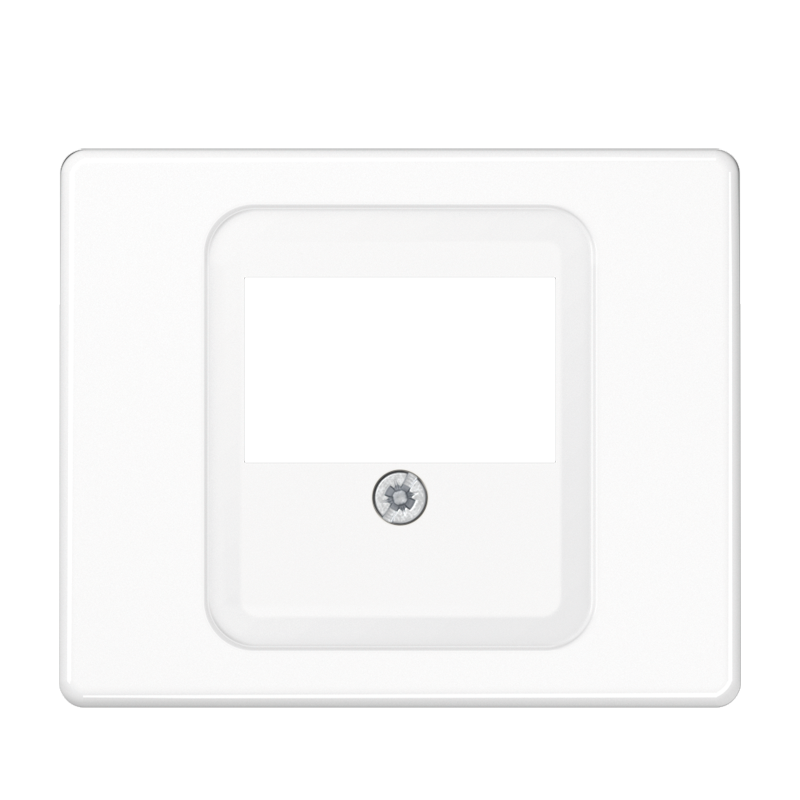 Изображение SL569TWW  Kрышка (креплением шурупами) - завод JUNG