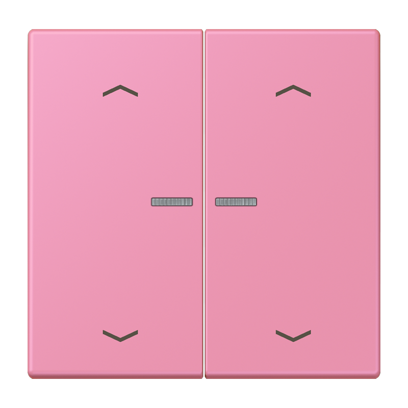 Изображение LC102KO5P246  Клавиша с окошком и с символами «стрелки» - завод JUNG