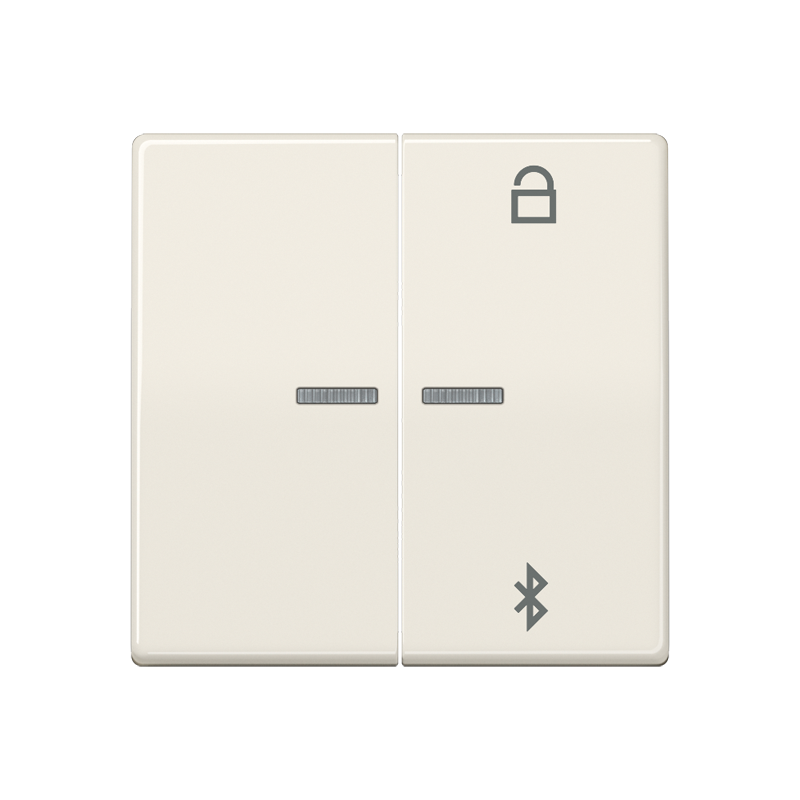 Изображение AS1751BT  Таймер универсальный Bluetooth - завод JUNG