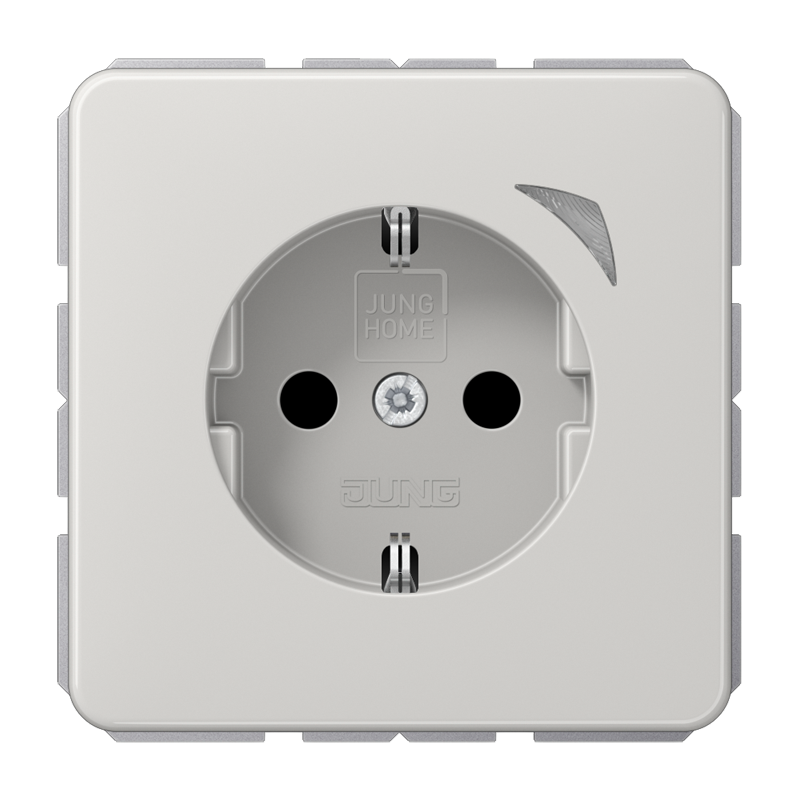 Изображение BTCD1521SELG  JUNG HOME SCHUKO® розетка Energy - завод JUNG