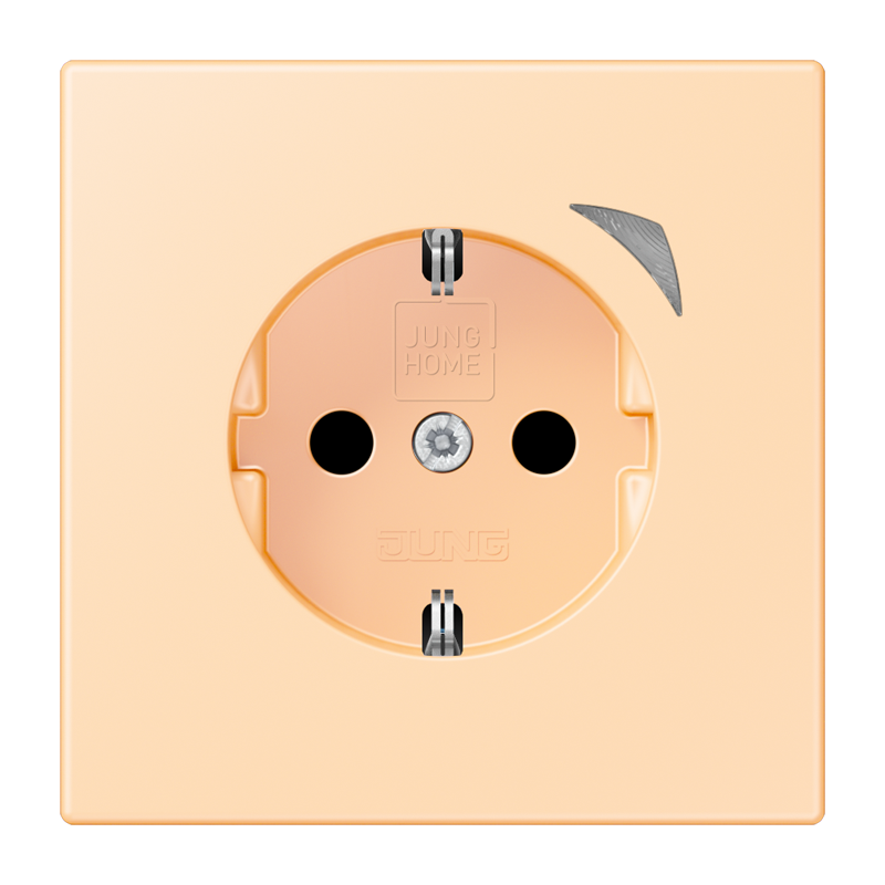 Изображение BTLC1521SE223  JUNG HOME SCHUKO® розетка Energy - завод JUNG