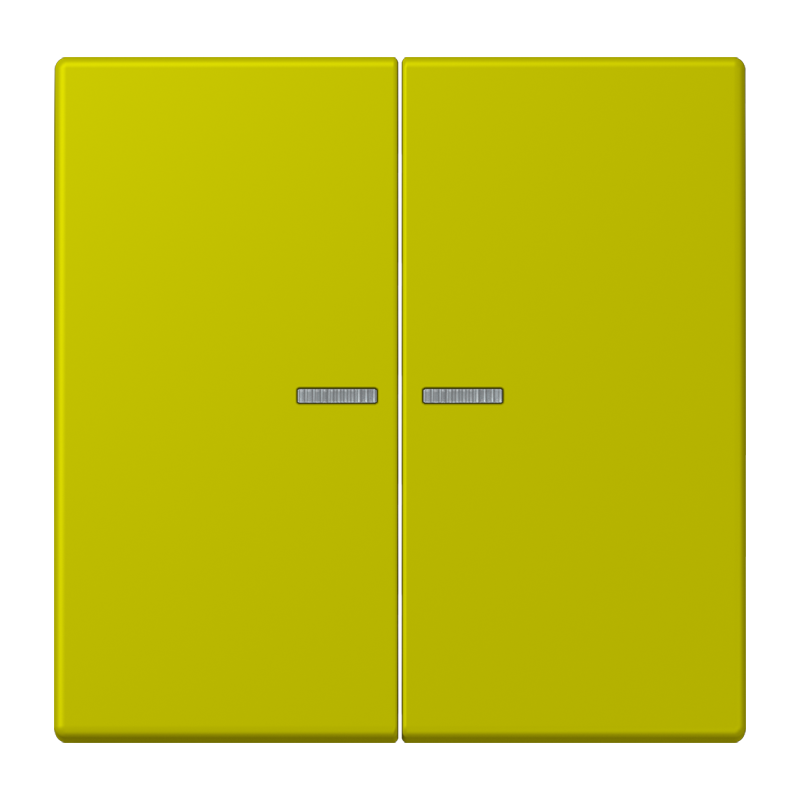 Изображение LC102KO5249  Клавиша с окошком - завод JUNG