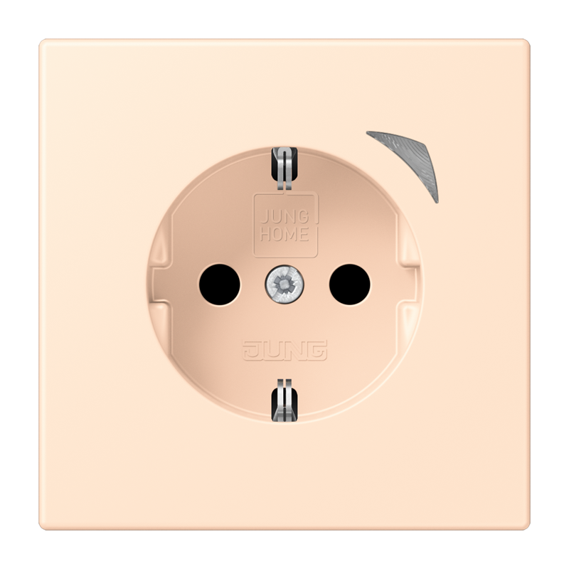 Изображение BTLC1521SE238  JUNG HOME SCHUKO® розетка Energy - завод JUNG
