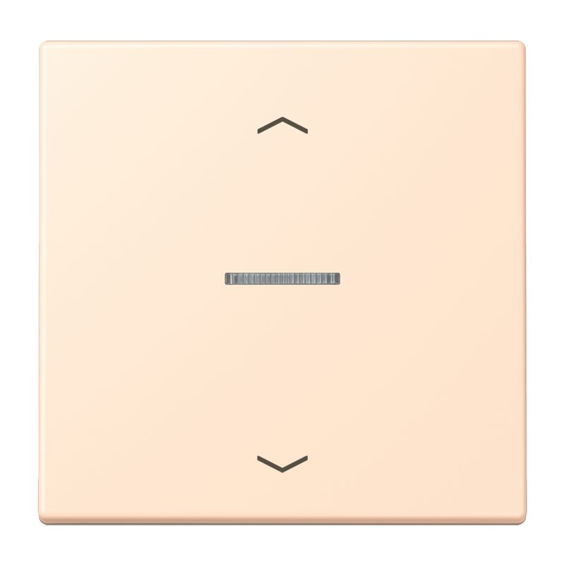 Изображение LC101KO5P238  Клавиша с окошком и с символами «стрелки» - завод JUNG