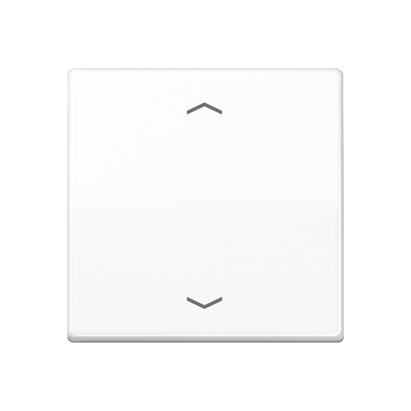 Изображение AS1700PWW  Центральная плата стандарт «стрелки» - завод JUNG