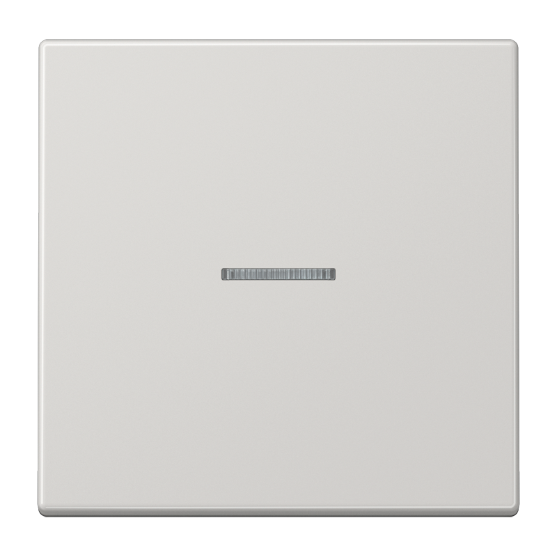 Изображение LS10911STRFLG  KNX RF кнопка, 1 группа - завод JUNG