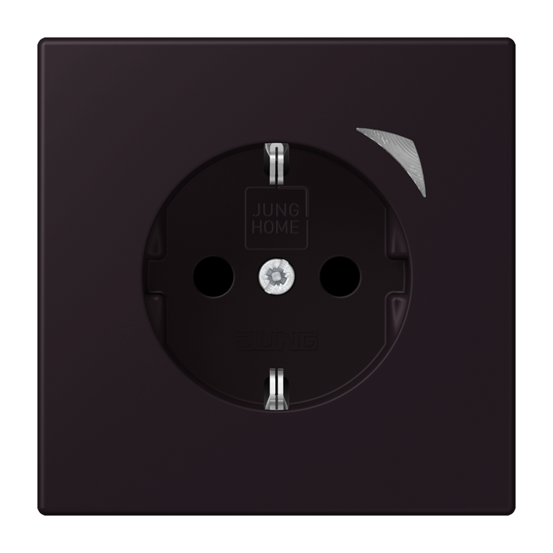 Изображение BTLC1521SE248  JUNG HOME SCHUKO® розетка Energy - завод JUNG