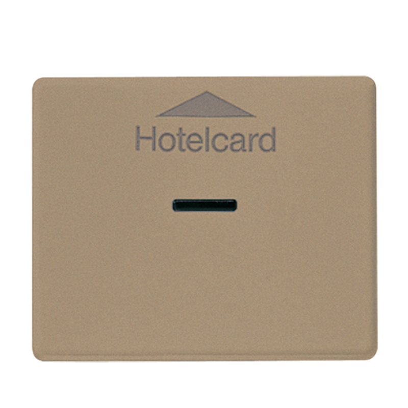 Изображение SL590CARDGB  Накладка карточного выключателя (без механизма) - завод JUNG