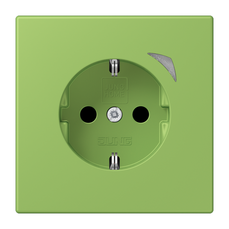 Изображение BTLC1521SE220  JUNG HOME SCHUKO® розетка Energy - завод JUNG