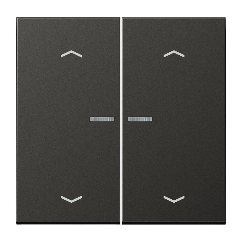 Изображение AL2995KO5MPAN  Клавиши для двойной кнопки BCU; антрацит - завод JUNG