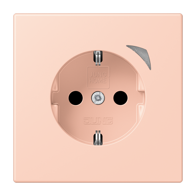 Изображение BTLC1521SE234  JUNG HOME SCHUKO® розетка Energy - завод JUNG