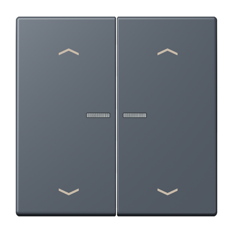 Изображение LC102KO5P262  Клавиша с окошком и с символами «стрелки» - завод JUNG