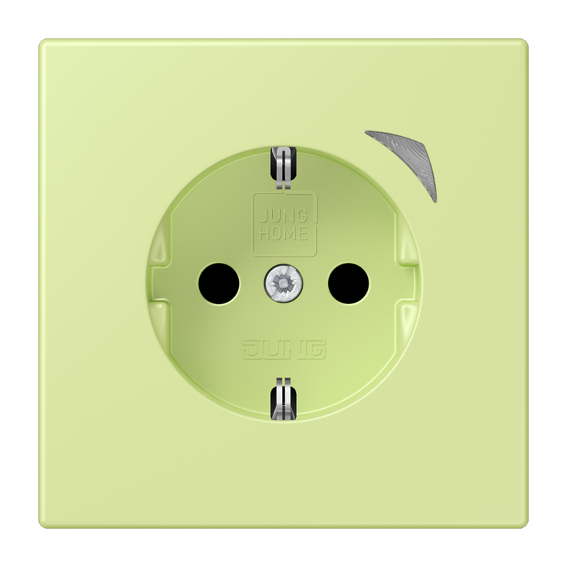 Изображение BTLC1521SE222  JUNG HOME SCHUKO® розетка Energy - завод JUNG