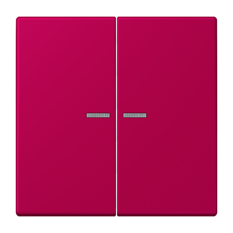 Изображение LC102KO5230  Клавиша с окошком - завод JUNG