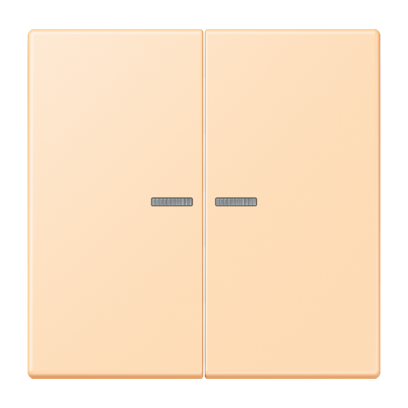 Изображение LC102KO5223  Клавиша с окошком - завод JUNG