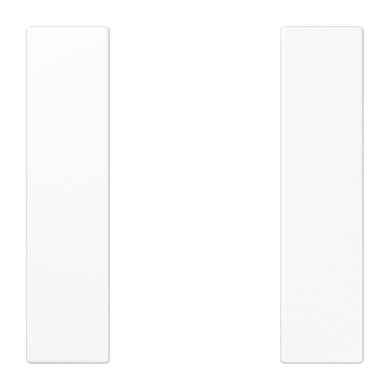 Изображение LS501TSAWW  Набор накладок 1 группа - завод JUNG