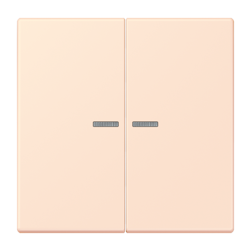 Изображение LC102KO5226  Клавиша с окошком - завод JUNG