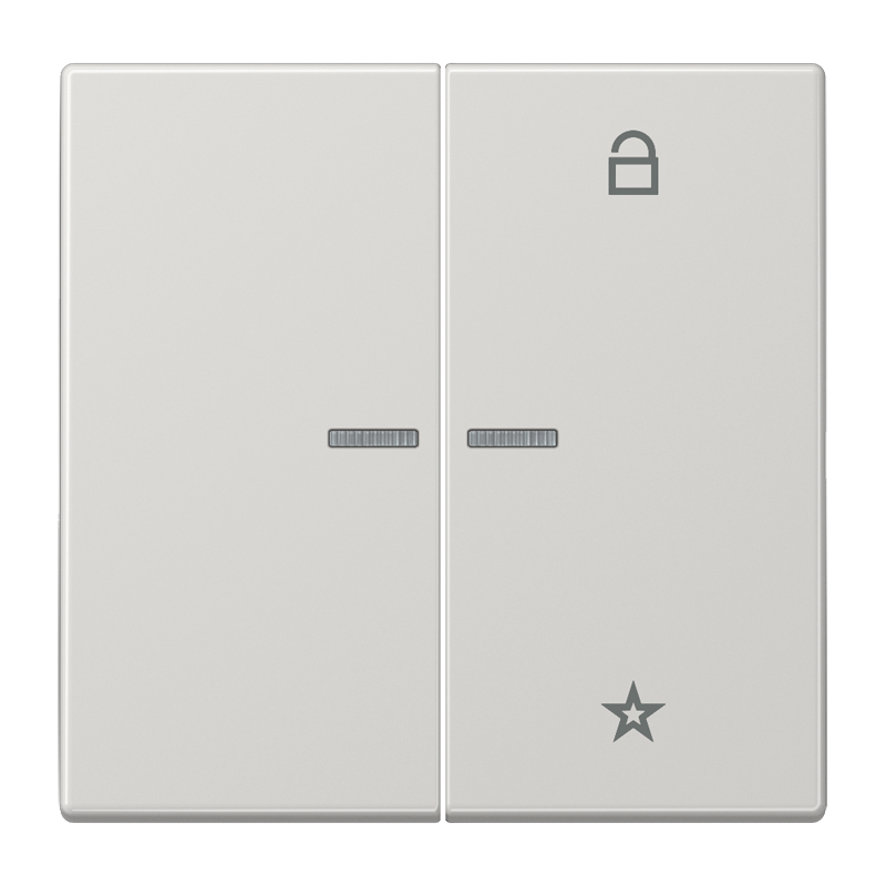 Изображение FMLS1701LG  eNet центральная плата - завод JUNG