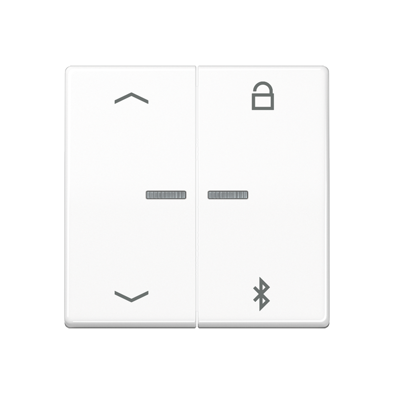 Изображение AS1751PBTWW  Таймер универсальный Bluetooth «стрелки» - завод JUNG