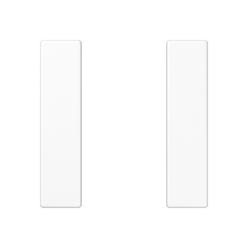 Изображение A501TSAWW  Набор накладок 1 группа - завод JUNG