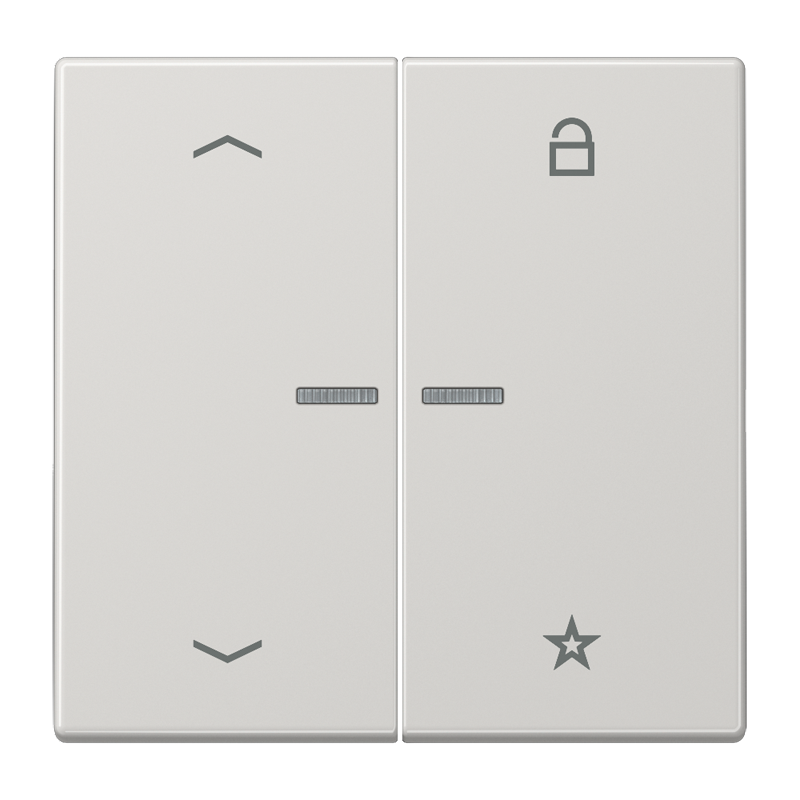 Изображение FMLS1701PLG  eNet центральная плата «стрелки» - завод JUNG