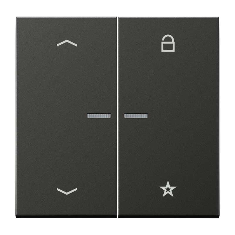 Изображение FMAL1701PAN  eNet центральная плата «стрелки» - завод JUNG