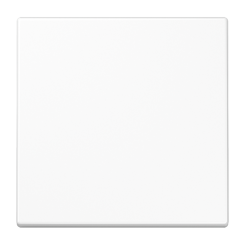 Изображение SPLS101WW  Kлавиша - завод JUNG