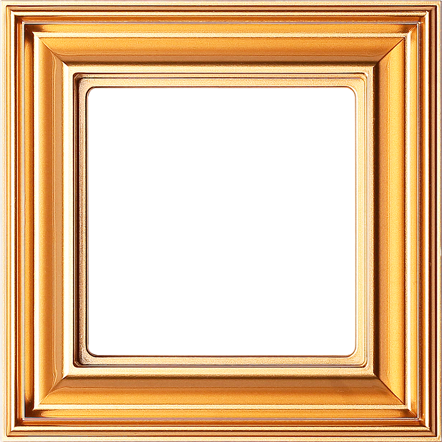 Изображение EPD481GO  Рамка 1-кратная - Eco Profi Deco (золото) - завод JUNG