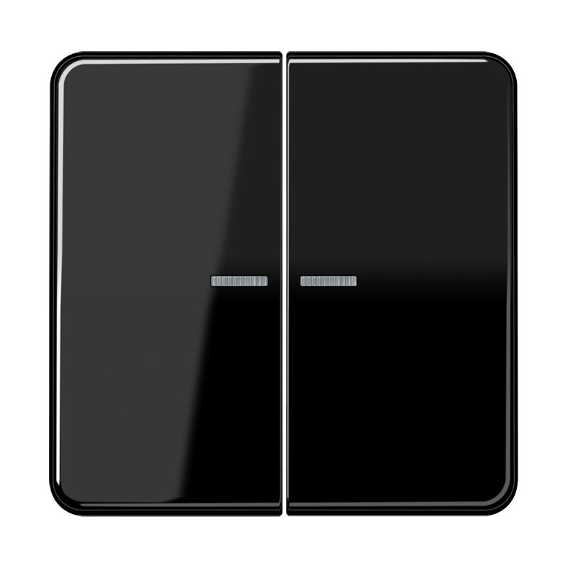 Изображение CD10921STRFSW  KNX RF кнопка, 2 группы - завод JUNG