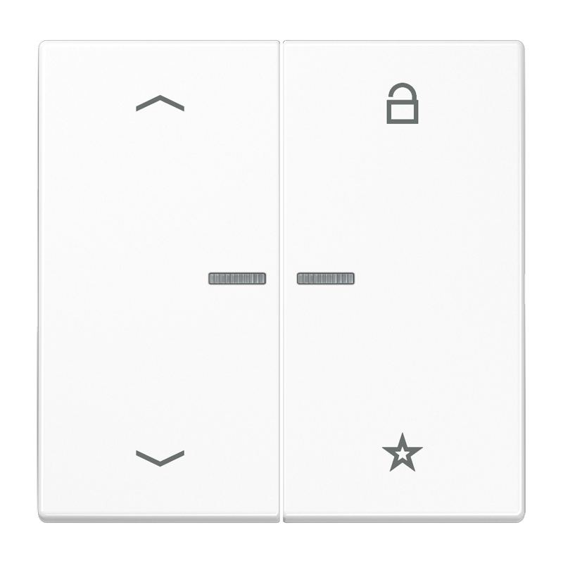 Изображение FMLS1701PWW  eNet центральная плата «стрелки» - завод JUNG