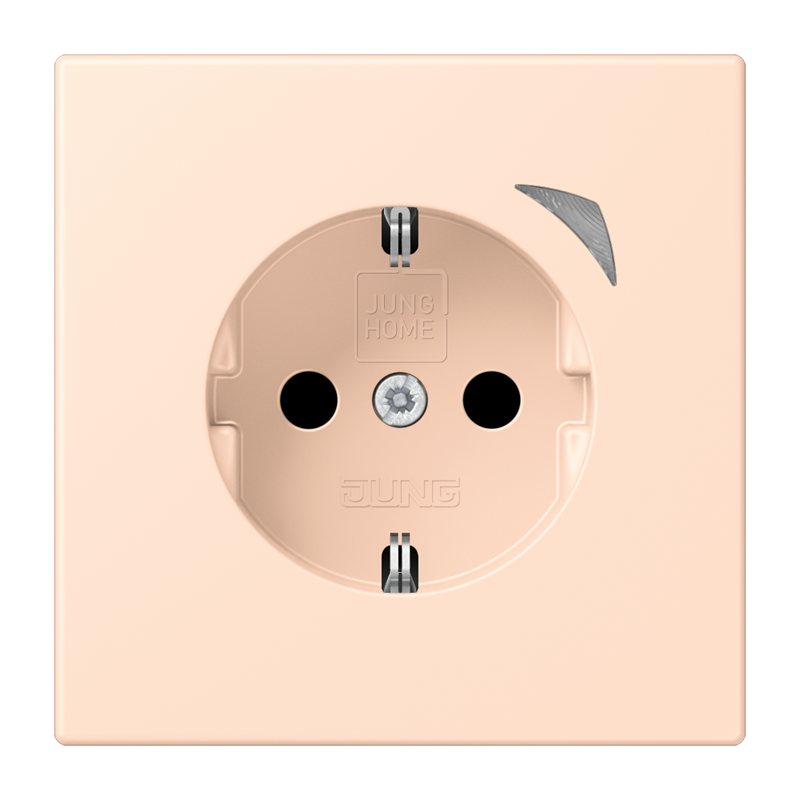 Изображение BTLC1521SE228  JUNG HOME SCHUKO® розетка Energy - завод JUNG