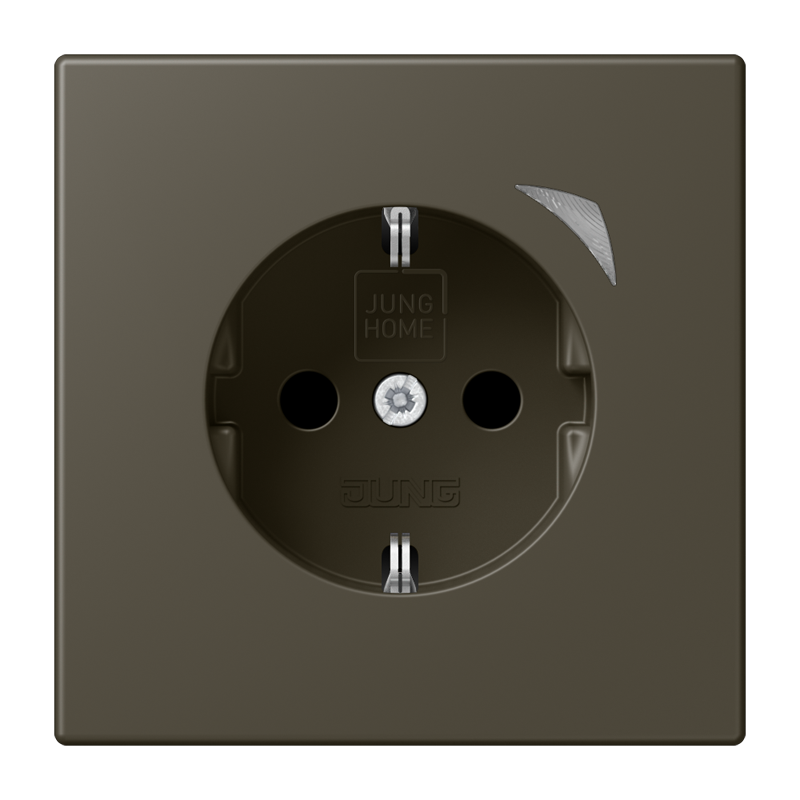 Изображение BTLC1521SE241  JUNG HOME SCHUKO® розетка Energy - завод JUNG