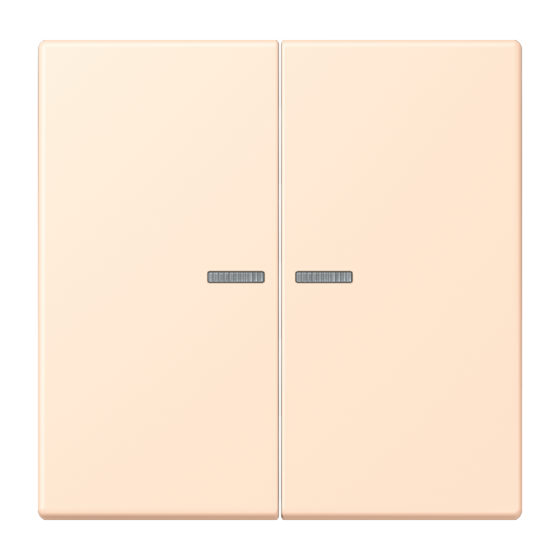 Изображение LC102KO5238  Клавиша с окошком - завод JUNG