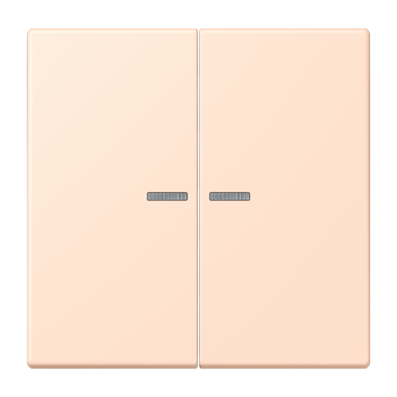 Изображение LC102KO5228  Клавиша с окошком - завод JUNG