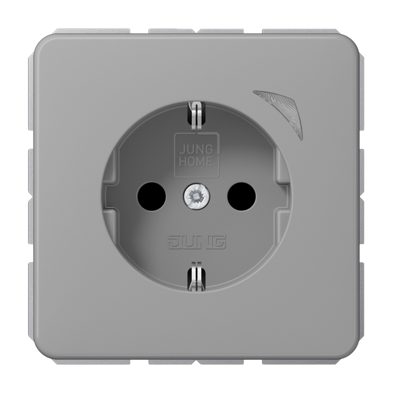 Изображение BTCD1521SEGR  JUNG HOME SCHUKO® розетка Energy - завод JUNG