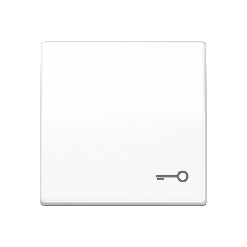 Изображение AS591TWW  Клавиша с символом «ключ» - завод JUNG